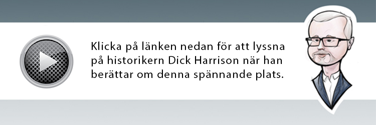 Dick Harrison berättar