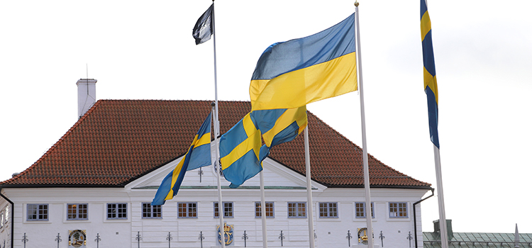 Svenska flaggor och ukrainsk flagga på Stortorget. Rådhuset i bakgrunden. 