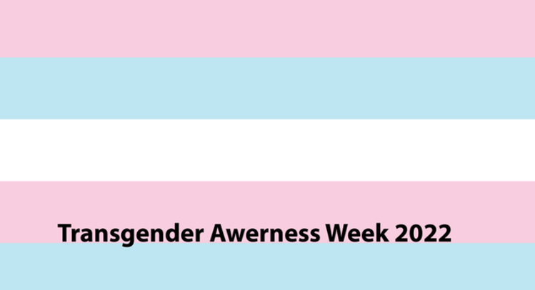 Flaggan i rosa, blå och vita vertikala linjer med texten "Transgender Awareness Week 2022"