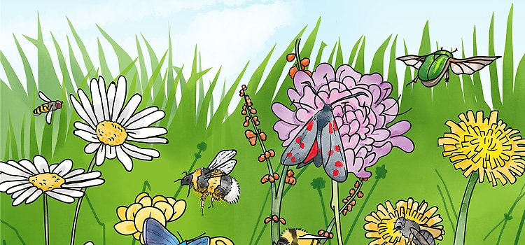 Illustration på en gräsmatteäng med humlor och bin.