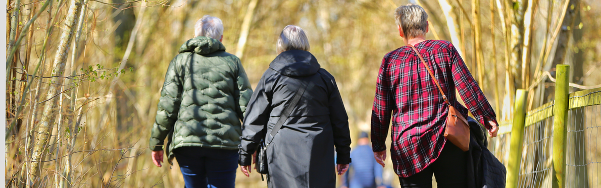 Seniorer promenerar i skog