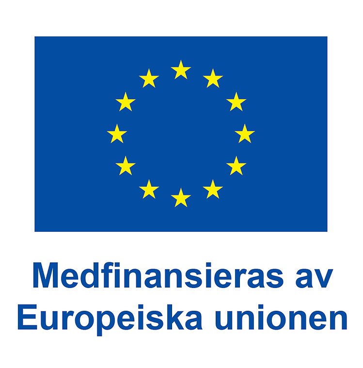  EU-loggan som visar att Kalmar kommuns skolor deltar i EU:s skolprogram.